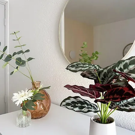 Le Petit Cocoon De Village 度假居